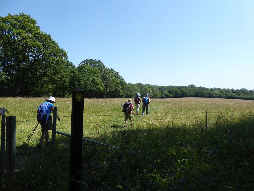 Long Walk - Sevenoaks Weald Village