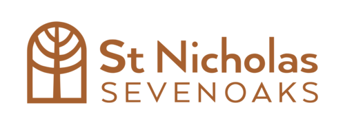 stnics_logo_2021_large_col